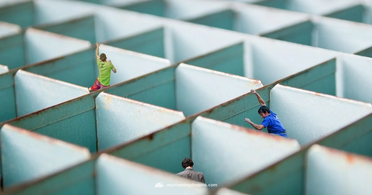 Dreams of Escape - Meaning of My Dreams