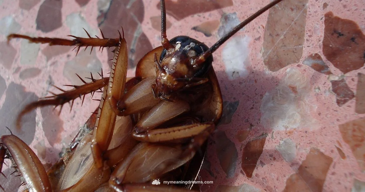 Cockroach Dream Meaning - Meaning of My Dreams