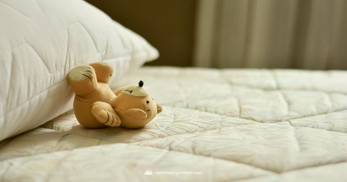 Lucid Dream Basics - Meaning of My Dreams