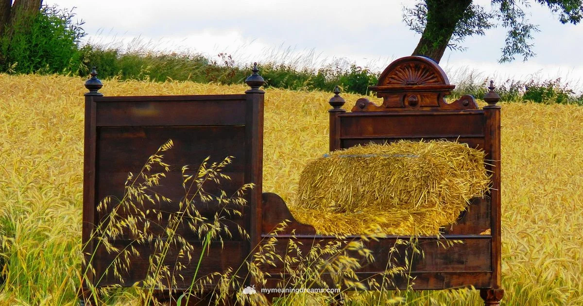 Lucid Dream Prevalence - Meaning of My Dreams