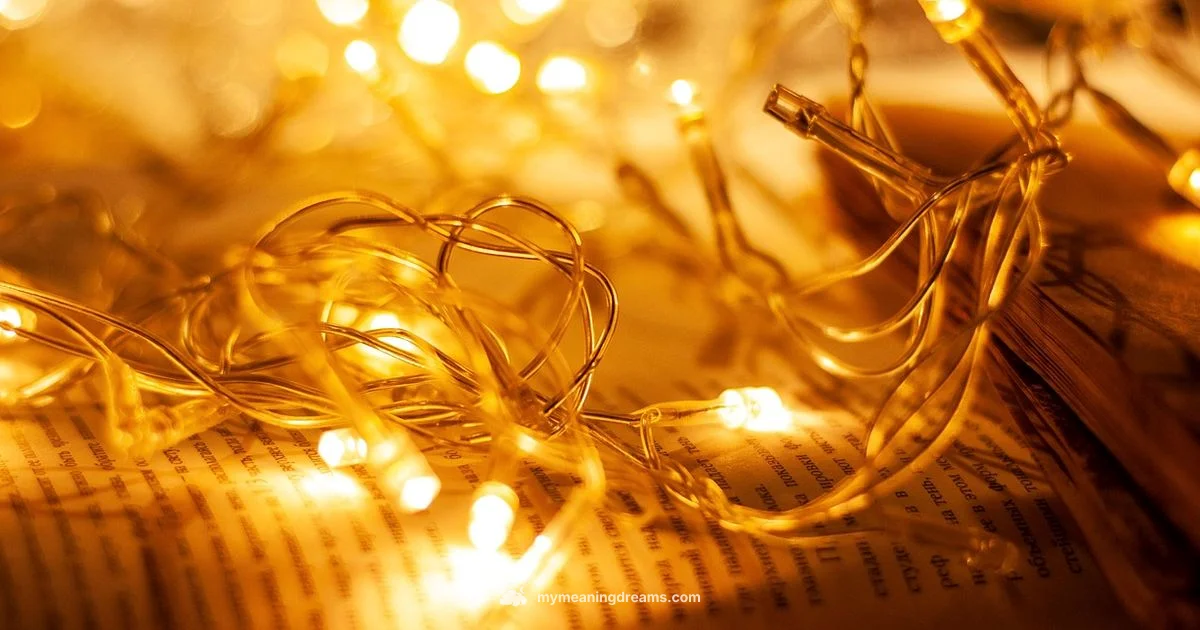 Crush Dreams - Meaning of My Dreams