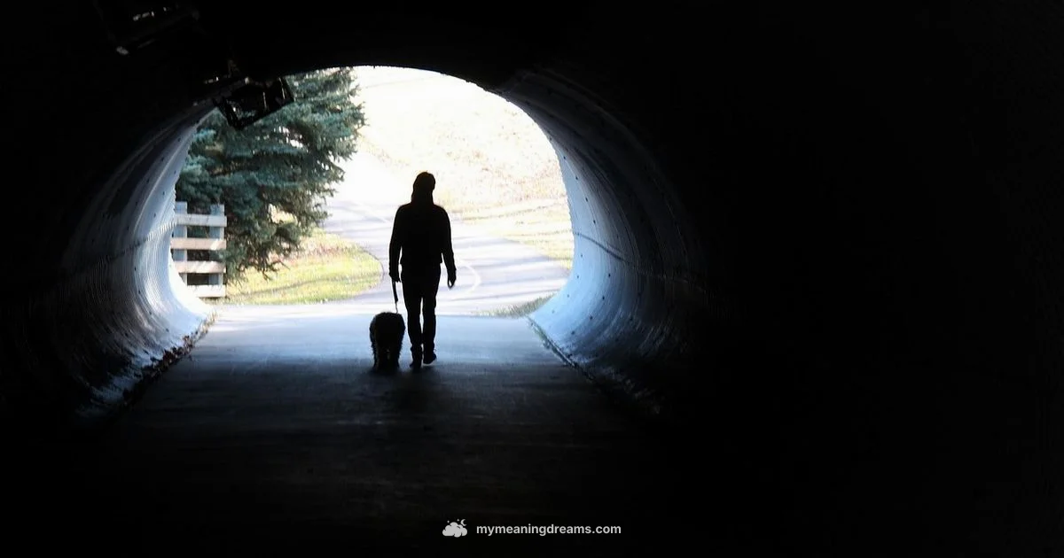 Black Dog Dream - Meaning of My Dreams