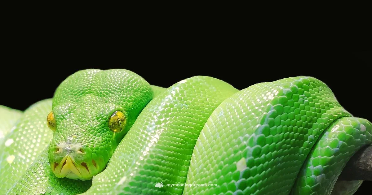 Snake Dream Meaning - Meaning of My Dreams