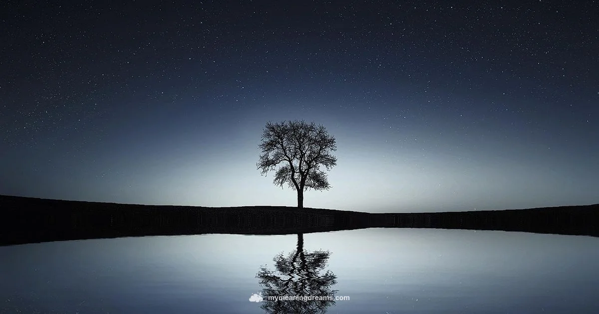 Water Dream Meaning - Meaning of My Dreams