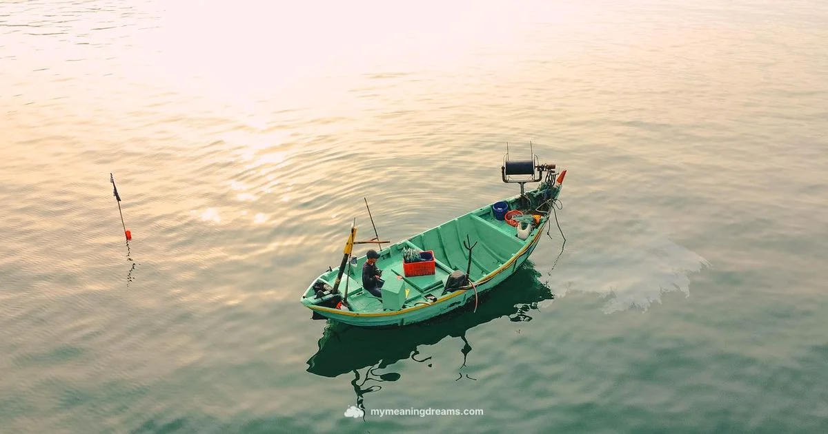 Hooked by Dreams - Meaning of My Dreams