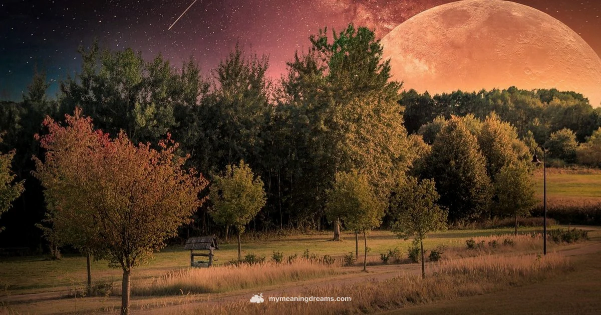 Dream Meaning Insights Dream Meaning Insights - Meaning of My Dreams