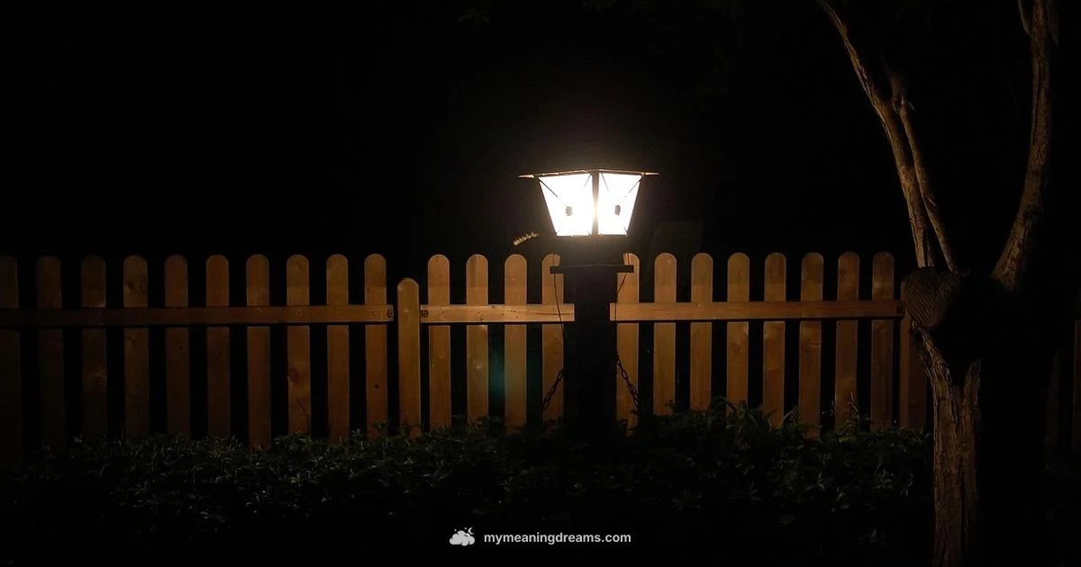 Dreaming Prevention Dreaming Prevention - Meaning of My Dreams