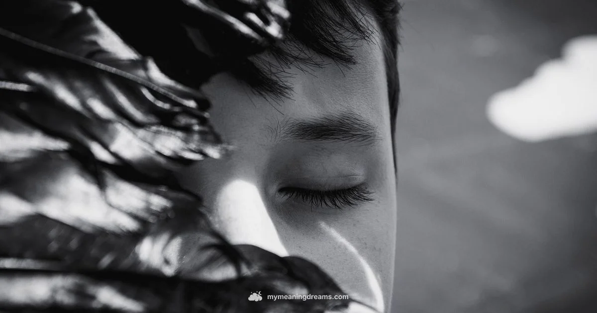 Crying in Dreams - Meaning of My Dreams