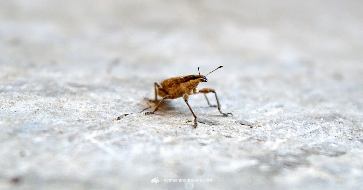 Dream Worm Symbolism - Meaning of My Dreams