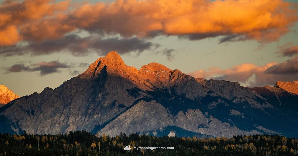 Mountain Lion Dream - Meaning of My Dreams