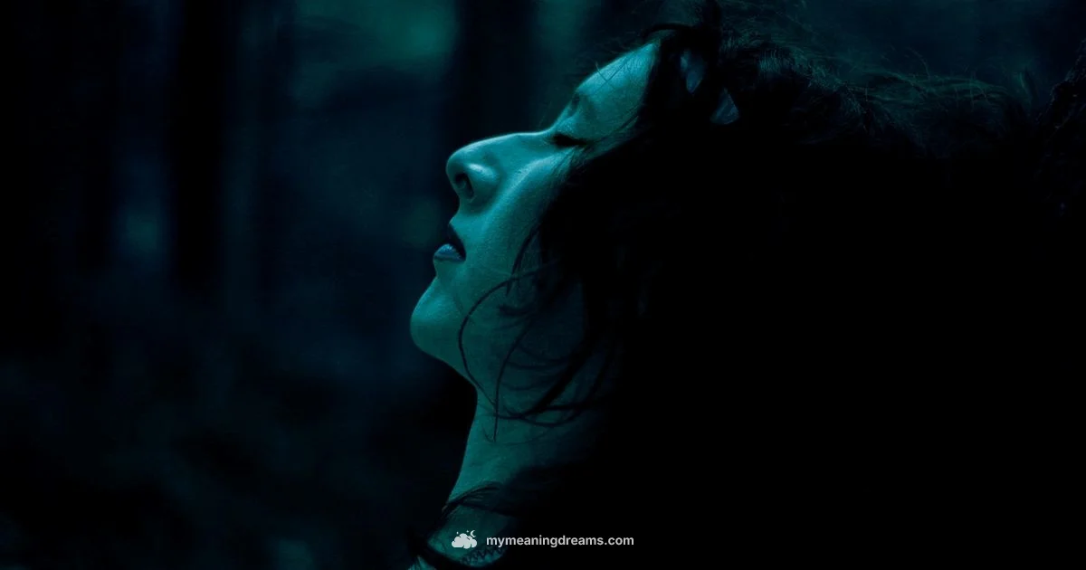 Dream-Sleep Signals Dream-Sleep Signals - Meaning of My Dreams