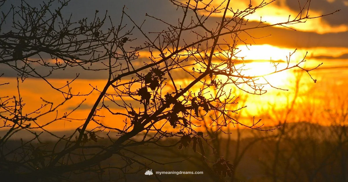 Lyrics in Dream - Meaning of My Dreams