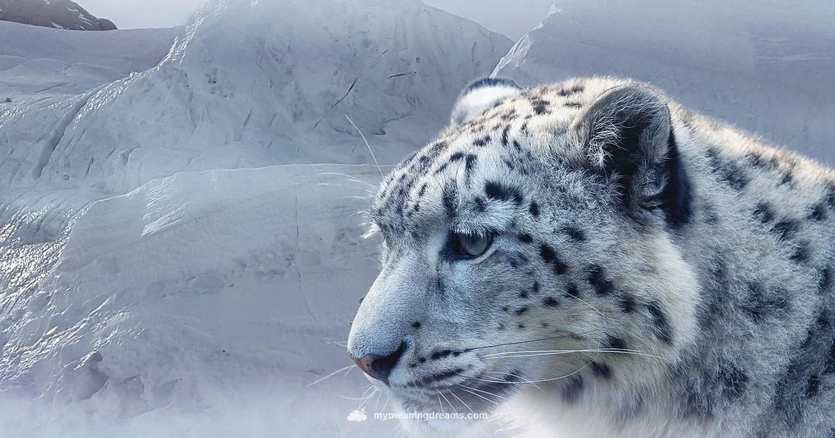 Snow Leopard Dream - Meaning of My Dreams