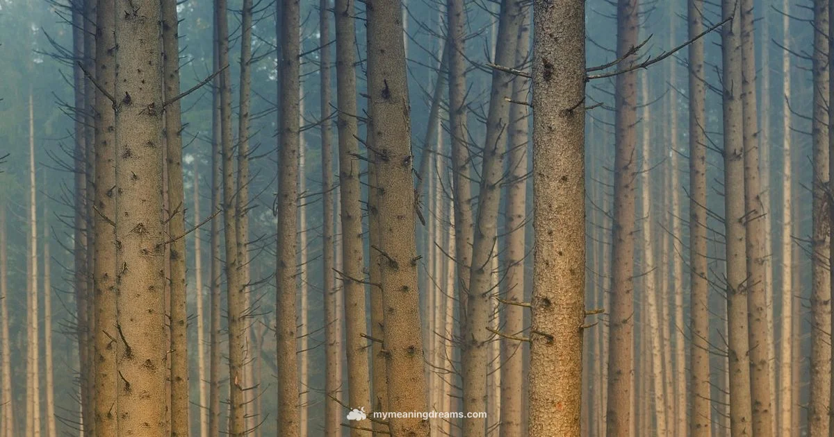 Falling Tree Meaning - Meaning of My Dreams