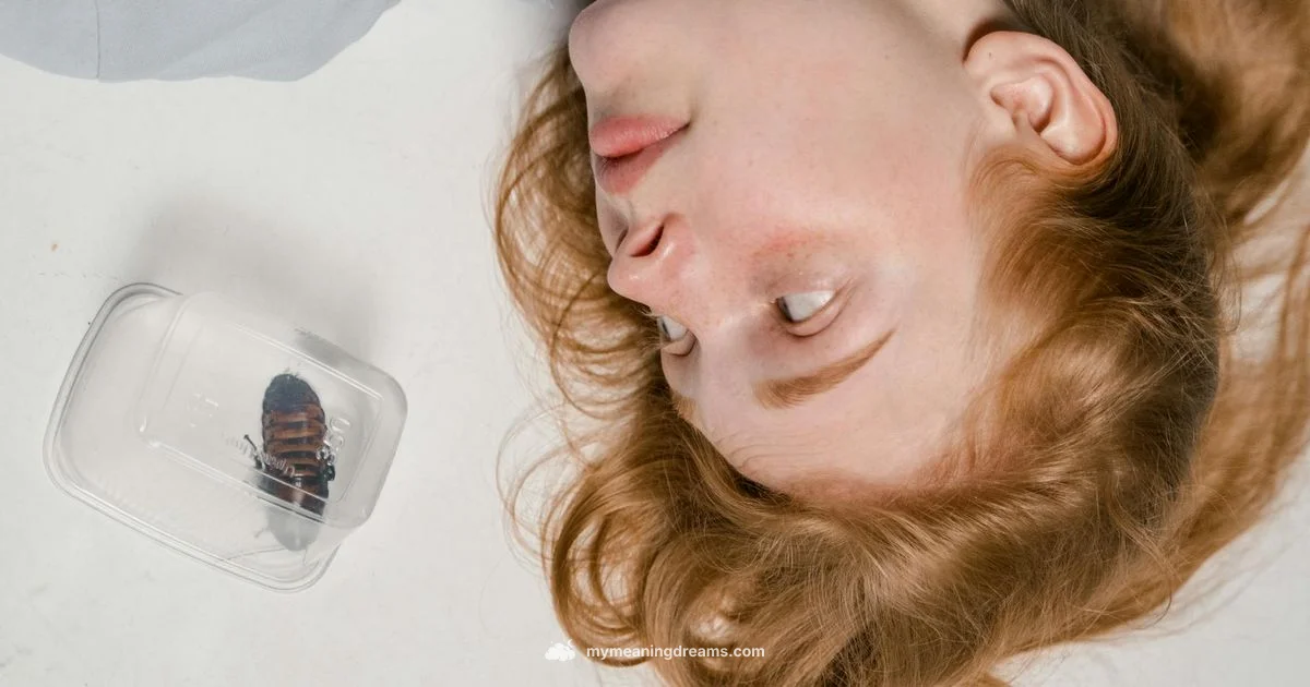 Roach Dream Meaning - Meaning of My Dreams