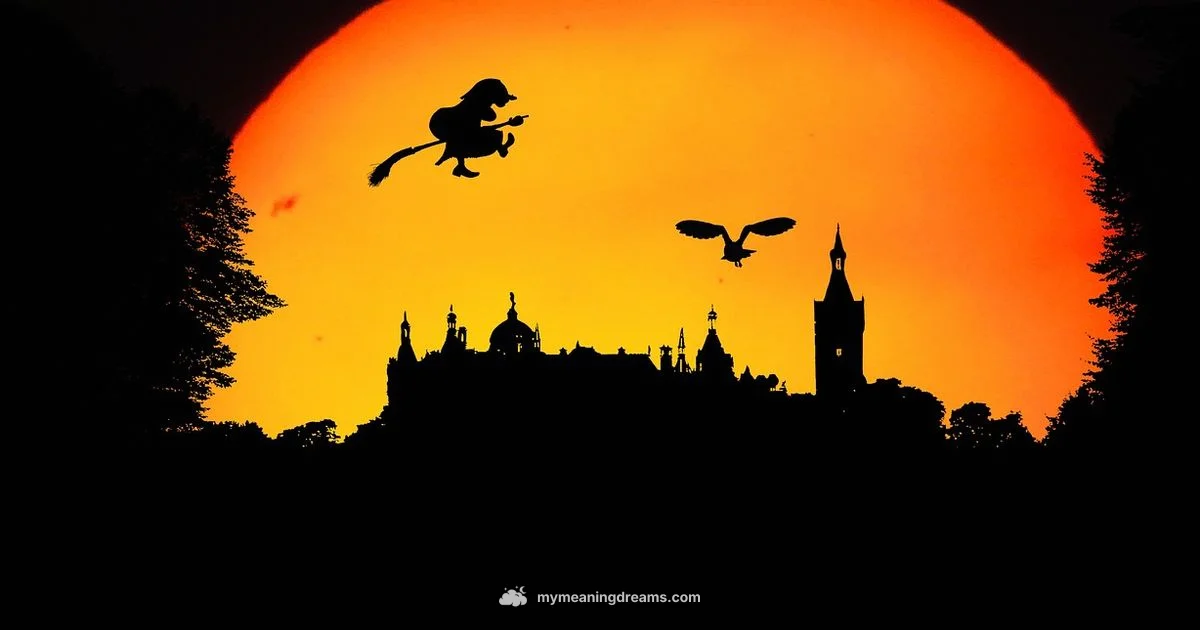 Night Wisdom - Meaning of My Dreams