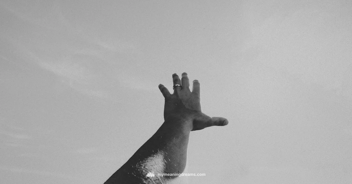 Dream Meaning Dream Meaning - Meaning of My Dreams