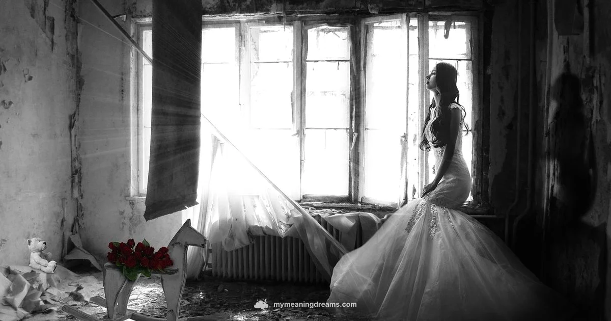 Dream of the Dead - Meaning of My Dreams