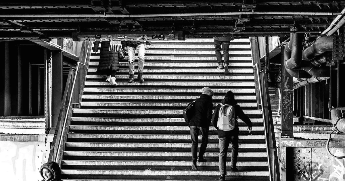 Steps of Meaning - Meaning of My Dreams