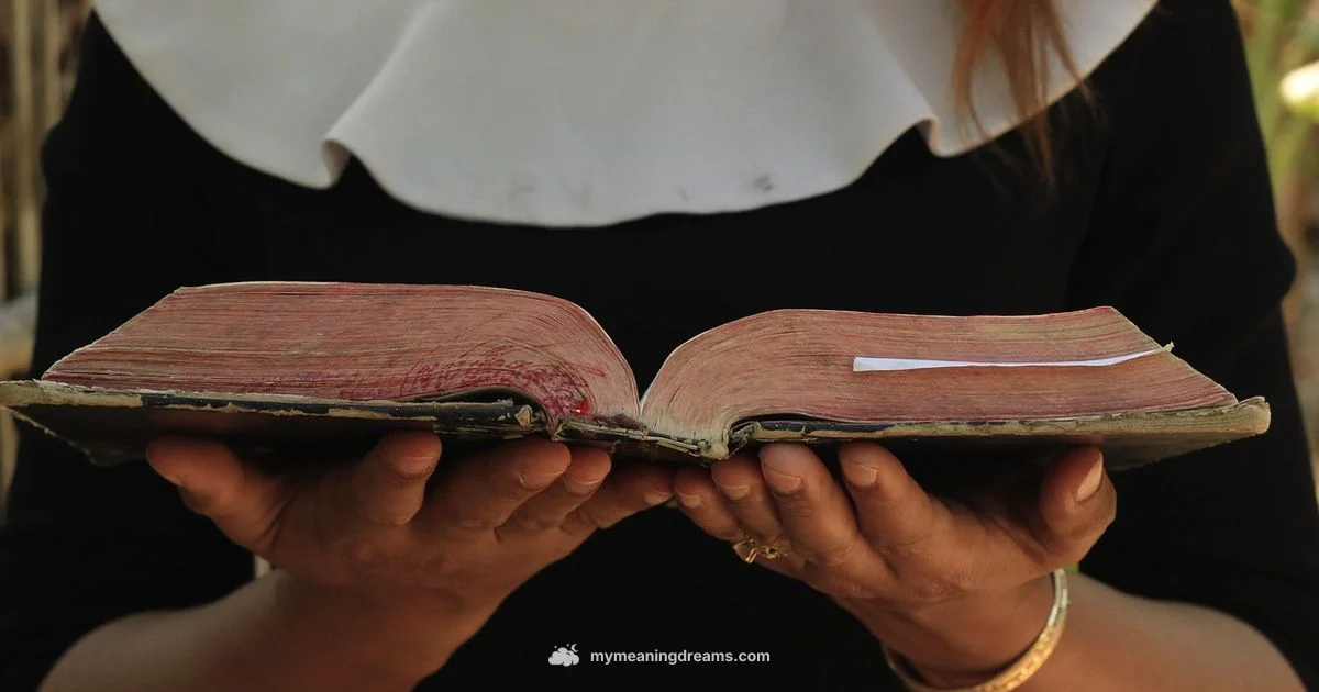 Biblical Dream Guide - Meaning of My Dreams