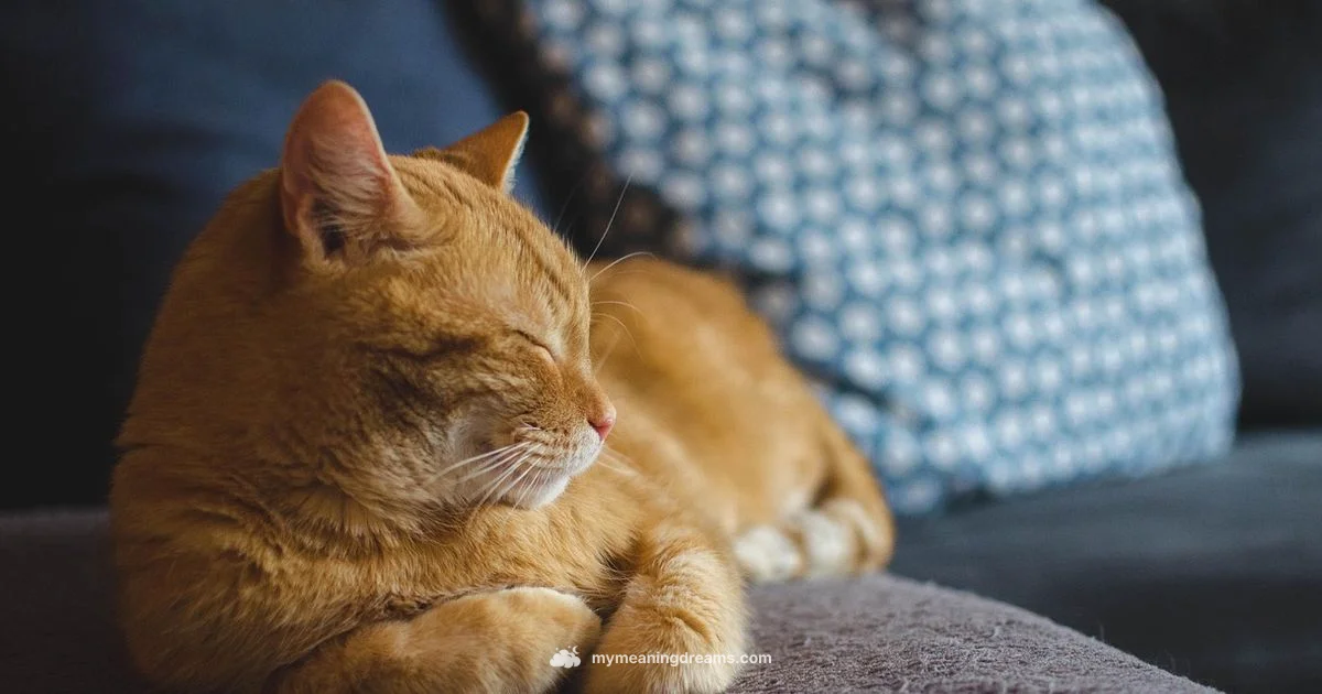 Cat Dream Meaning - Meaning of My Dreams