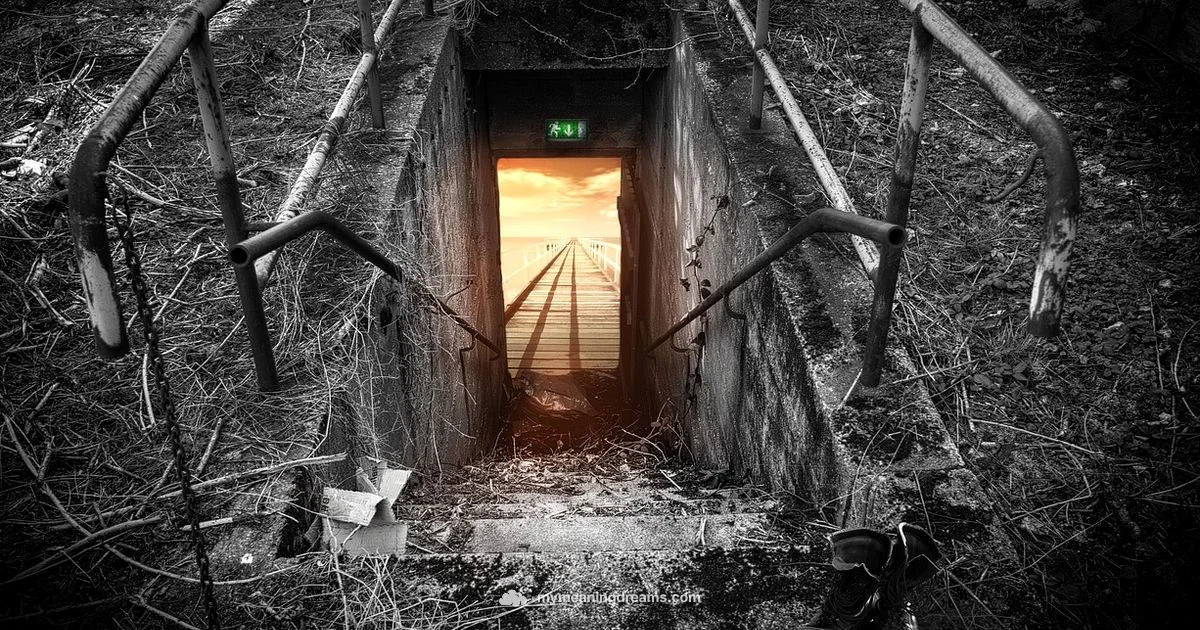 Exit the Dream - Meaning of My Dreams