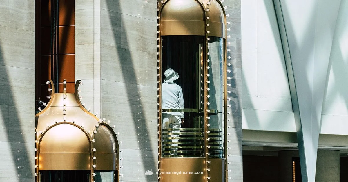 Elevator Dream Meaning - Meaning of My Dreams