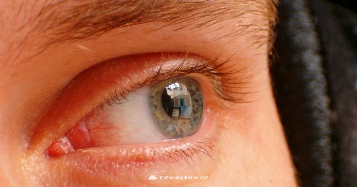 Eyes in Dreams - Meaning of My Dreams