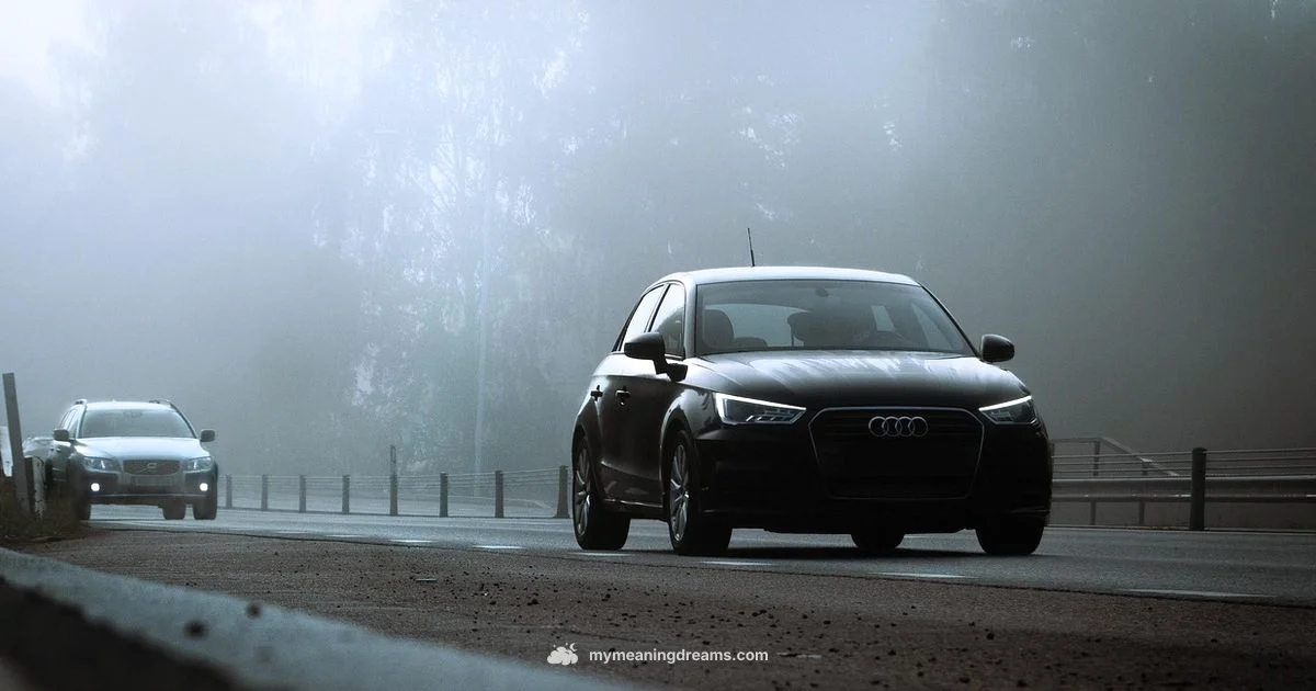 Car Crash Dream Car Crash Dream - Meaning of My Dreams