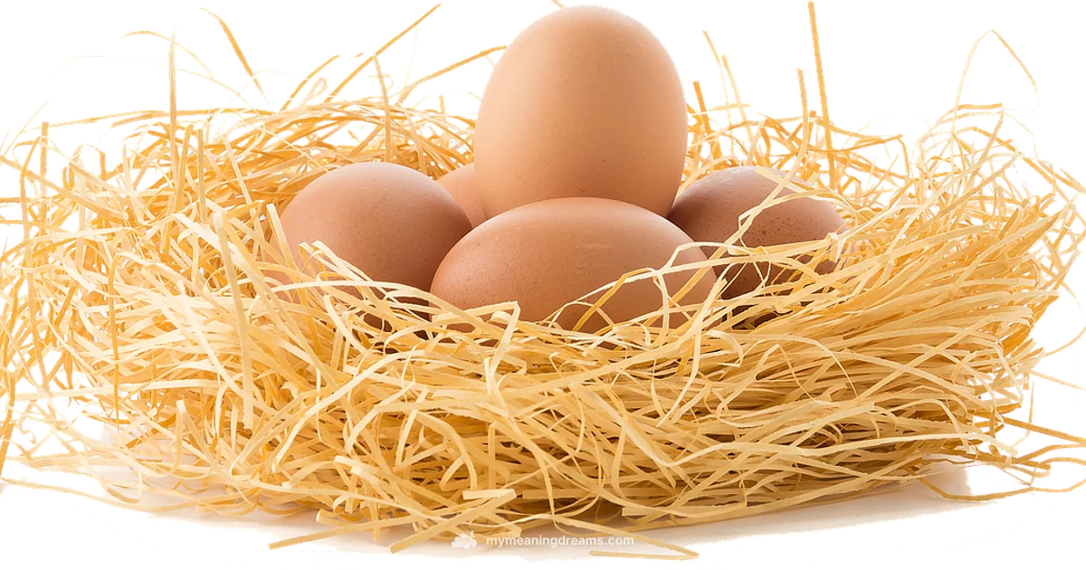 Snake Eggs Dream - Meaning of My Dreams