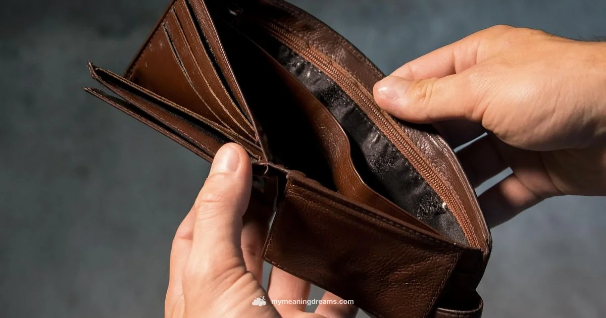 No Money Dream - Meaning of My Dreams