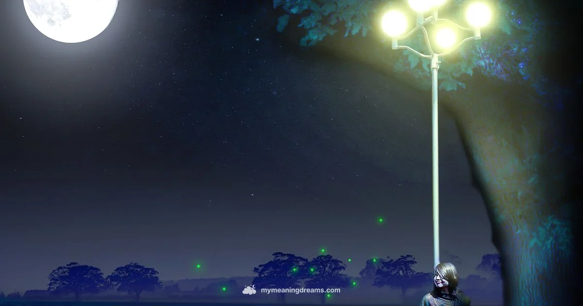 No Dream Insight - Meaning of My Dreams