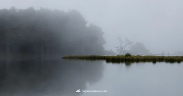 Dream Moods Visual - Meaning of My Dreams