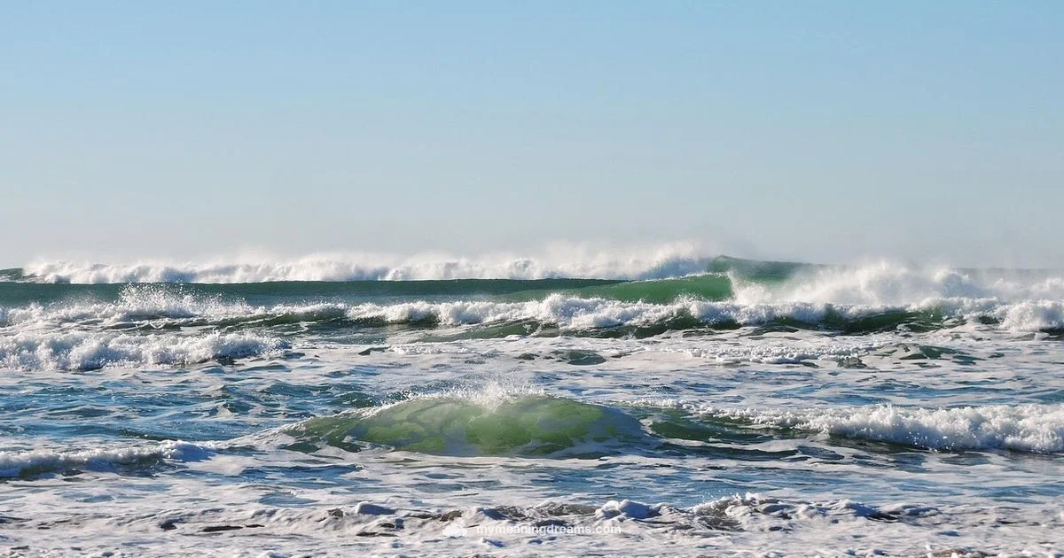 Tidal Wave Dream - Meaning of My Dreams