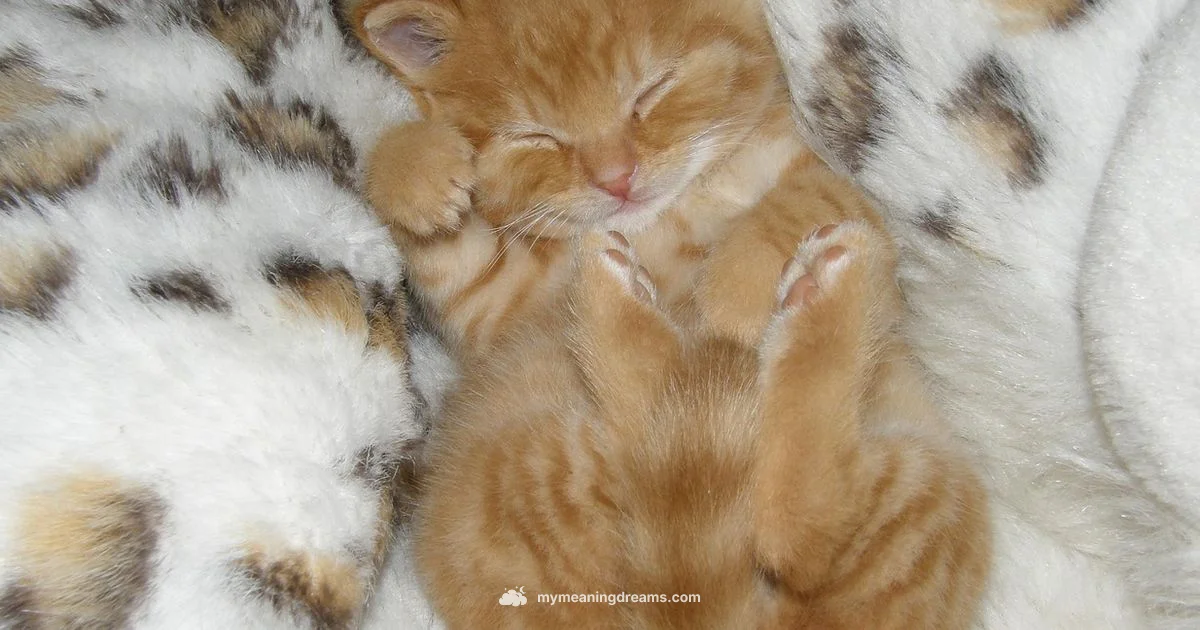 Chased Dream Meaning - Meaning of My Dreams