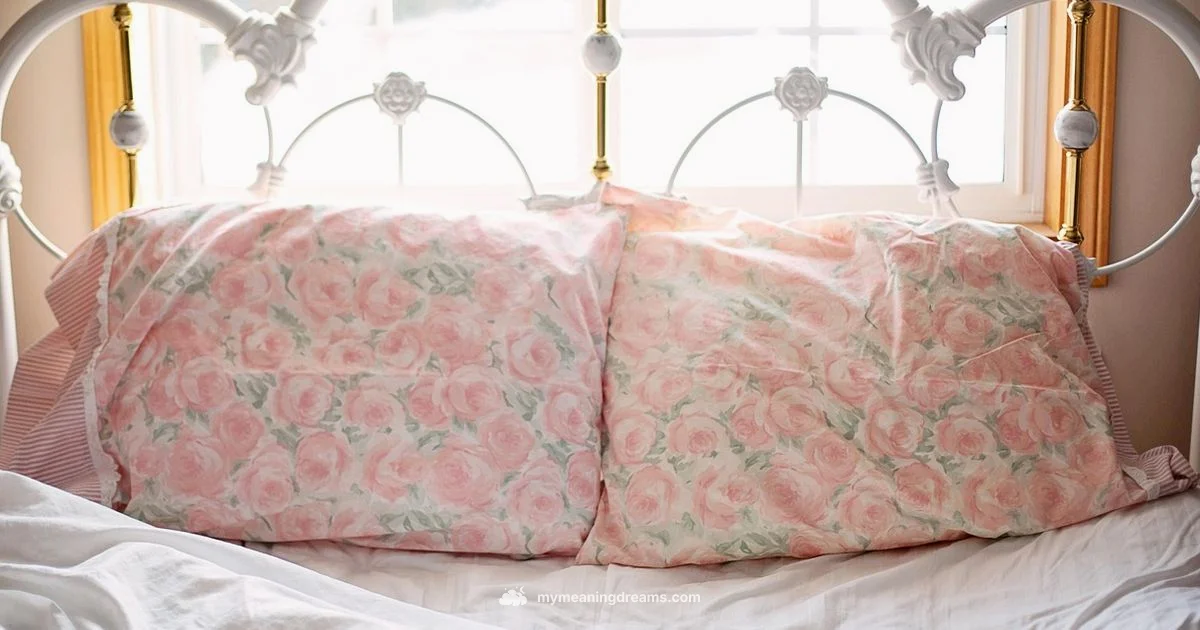 Bed Dream - Meaning of My Dreams