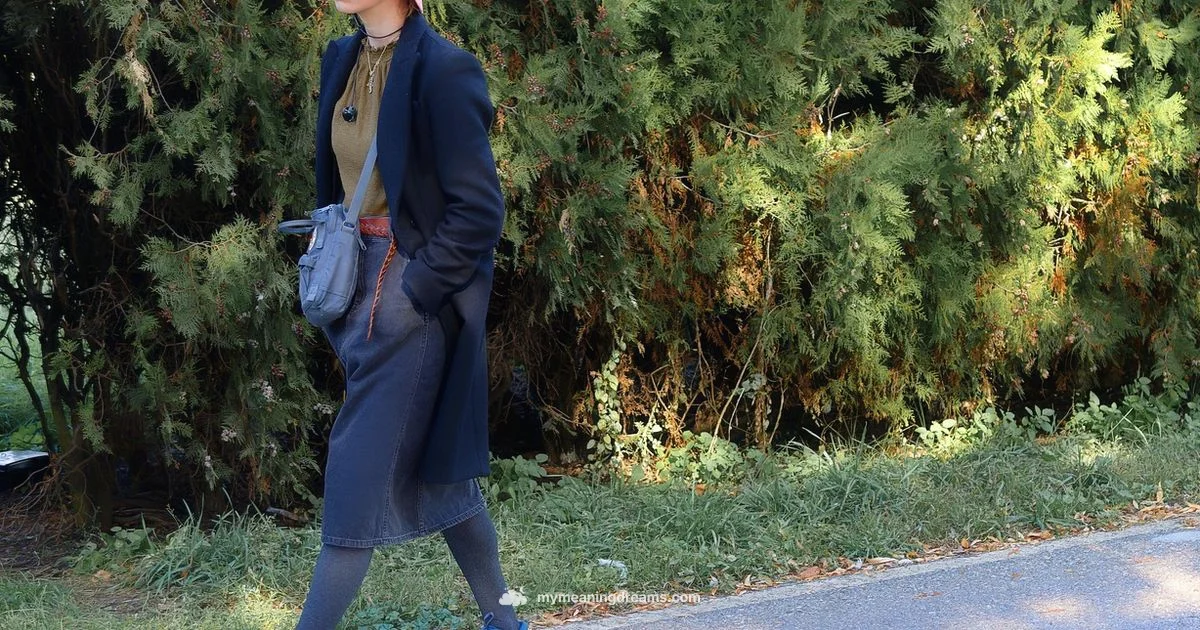 Lost Purse Dream - Meaning of My Dreams