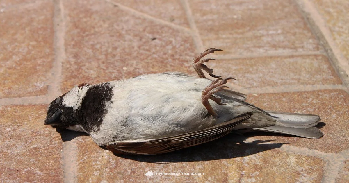 Dream Bird Symbolism - Meaning of My Dreams