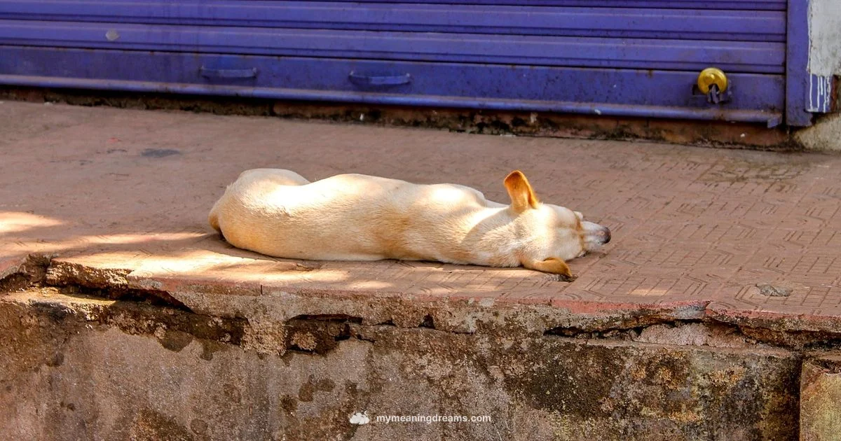 Marathi Dream Meaning - Meaning of My Dreams