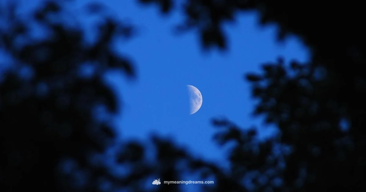 Sweet Dreams Meaning - Meaning of My Dreams