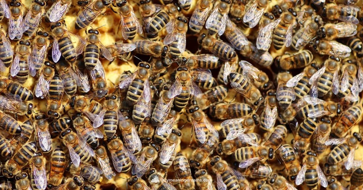 Bee Dreams in Scripture - Meaning of My Dreams