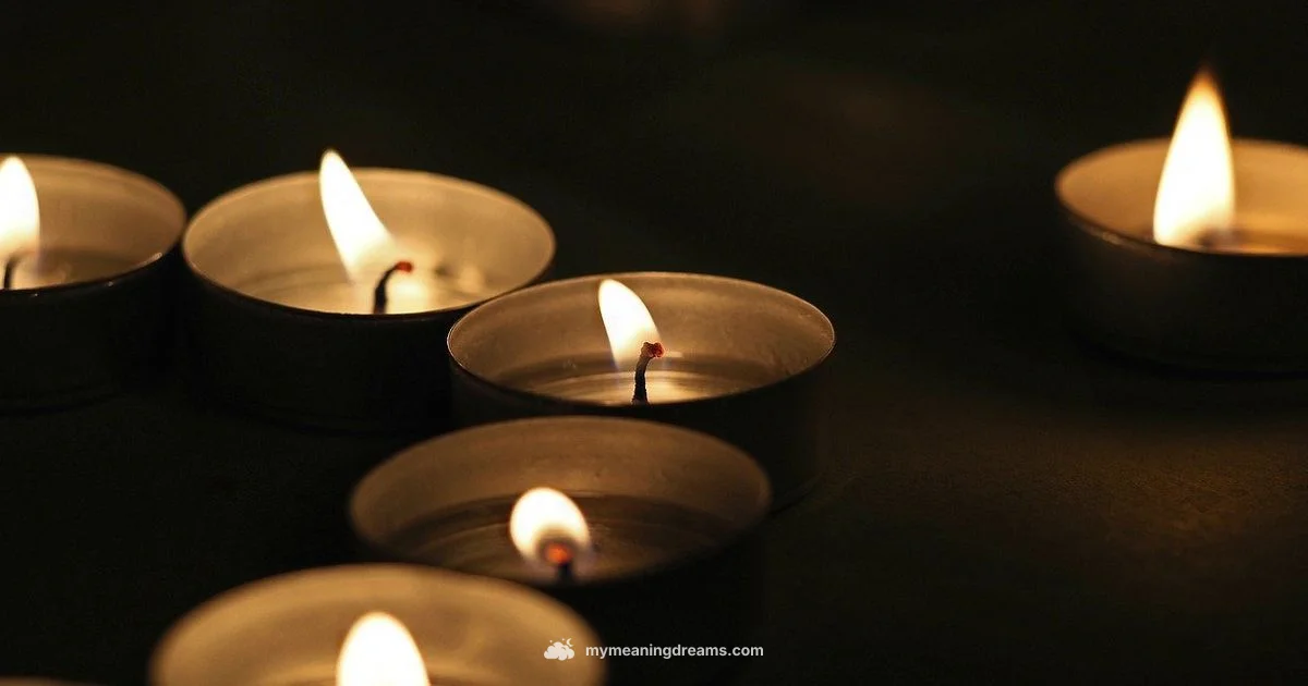 Release & Renewal Release & Renewal - Meaning of My Dreams