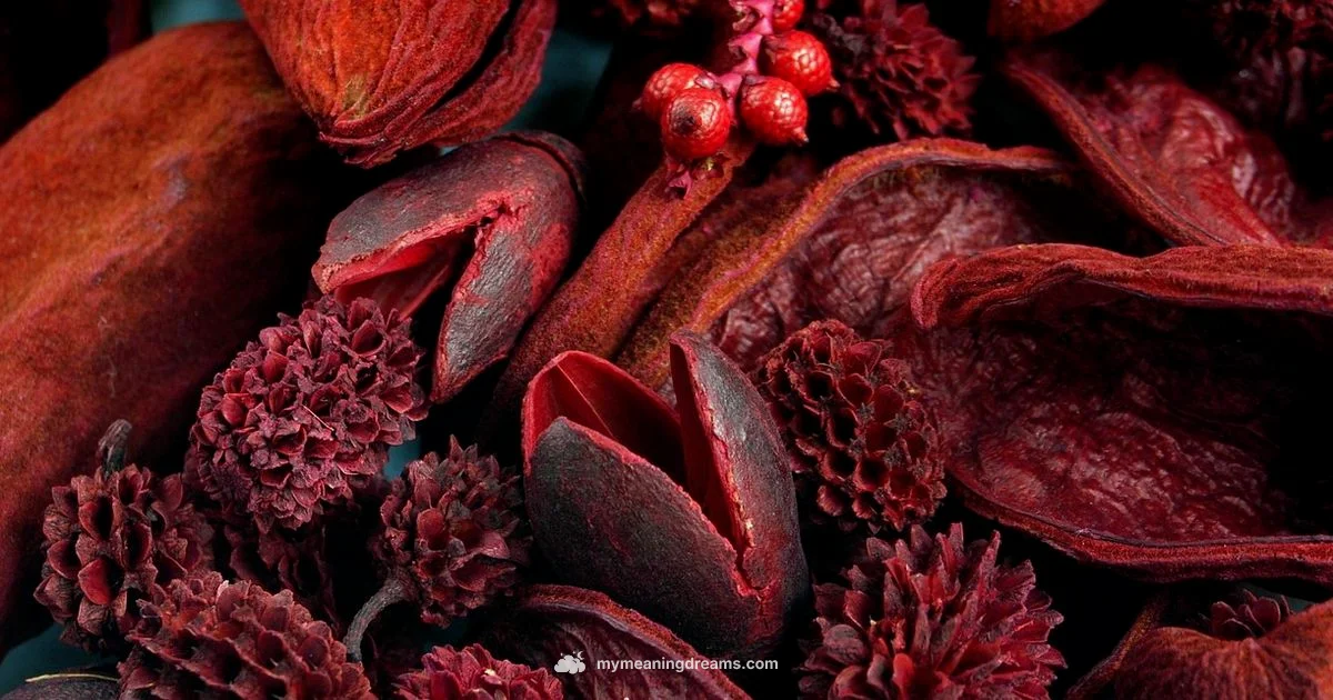 Dream Smell Meaning - Meaning of My Dreams