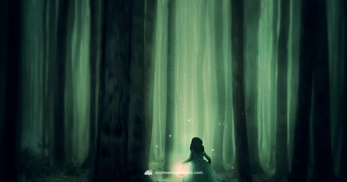 Dreams & Boundaries - Meaning of My Dreams