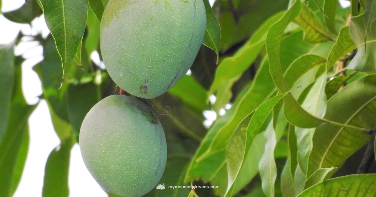 Mango Dream Meaning - Meaning of My Dreams