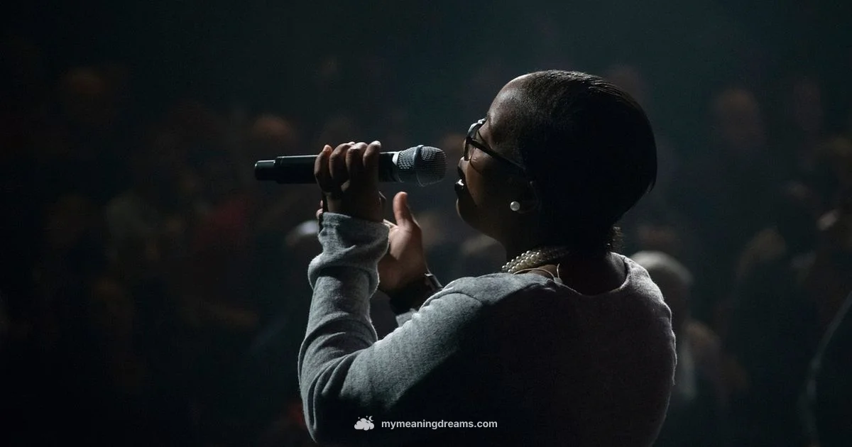 Dream Song Meaning - Meaning of My Dreams