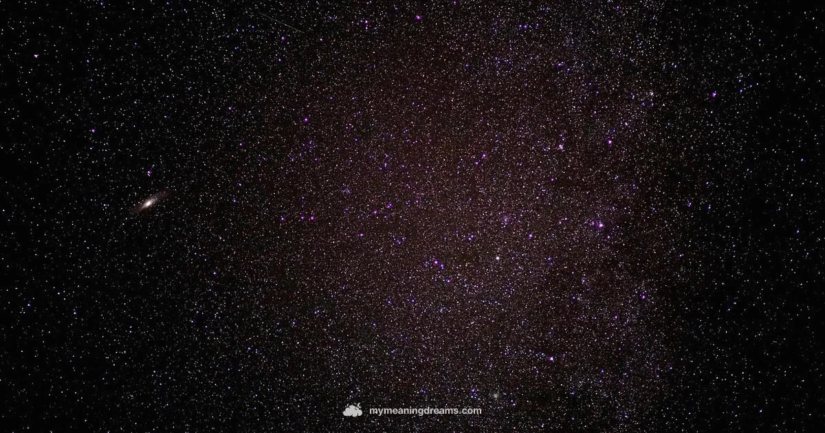 Lucid Dream Basics Lucid Dream Basics - Meaning of My Dreams