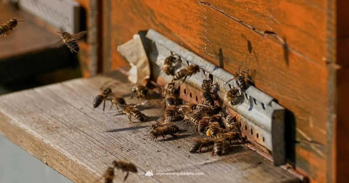 Bees Attack Dream - Meaning of My Dreams