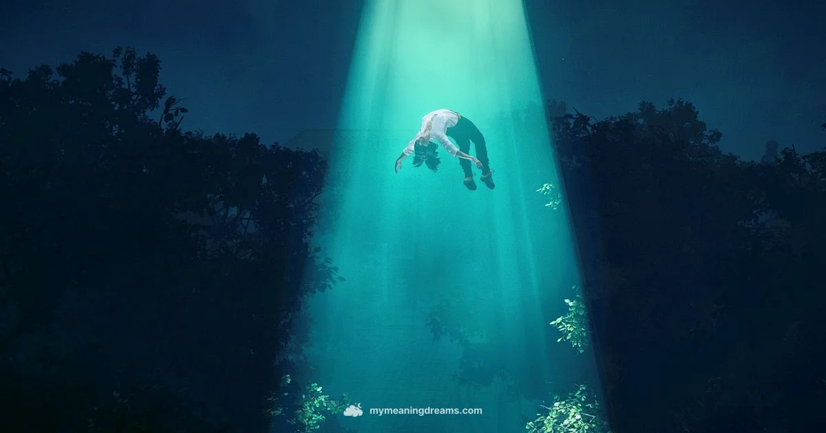 Dream Stranger Meaning - Meaning of My Dreams