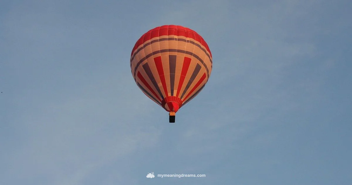 Flight Dream Meaning Flight Dream Meaning - Meaning of My Dreams